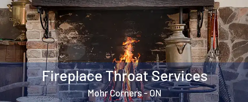  Fireplace Throat Services Mohr Corners - ON