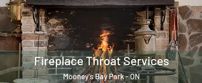  Fireplace Throat Services Mooney's Bay Park - ON