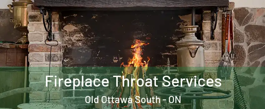  Fireplace Throat Services Old Ottawa South - ON