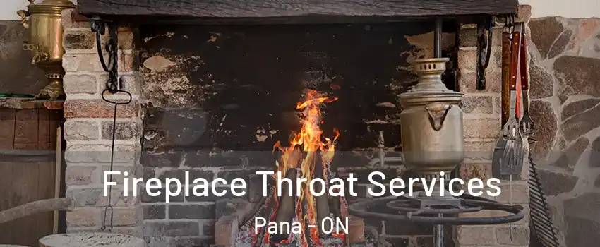  Fireplace Throat Services Pana - ON