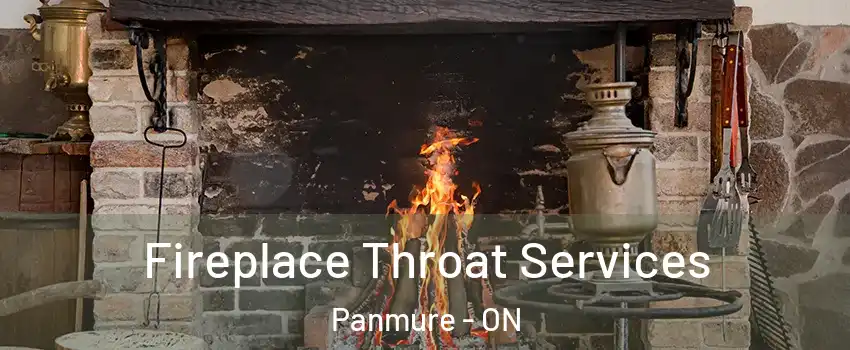  Fireplace Throat Services Panmure - ON