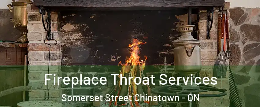  Fireplace Throat Services Somerset Street Chinatown - ON