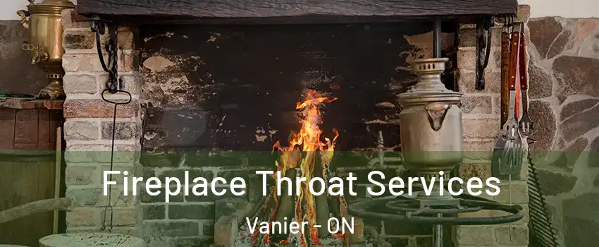  Fireplace Throat Services Vanier - ON