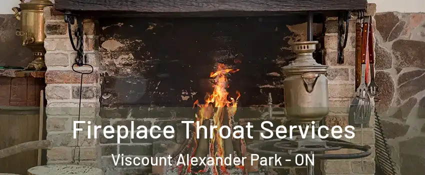  Fireplace Throat Services Viscount Alexander Park - ON