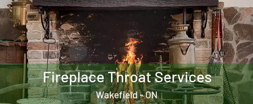  Fireplace Throat Services Wakefield - ON