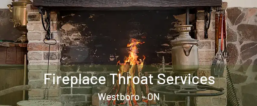  Fireplace Throat Services Westboro - ON