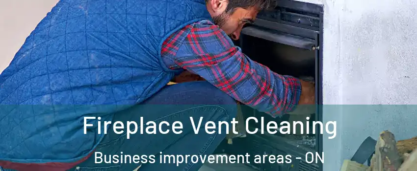  Fireplace Vent Cleaning Business improvement areas - ON