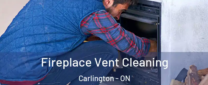  Fireplace Vent Cleaning Carlington - ON