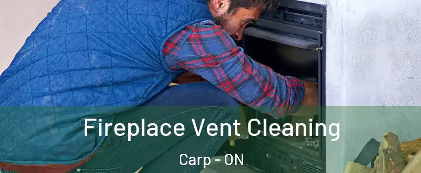  Fireplace Vent Cleaning Carp - ON