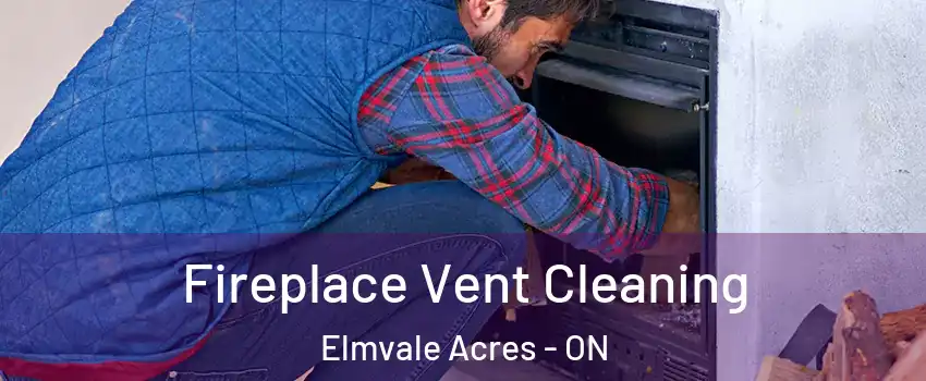  Fireplace Vent Cleaning Elmvale Acres - ON