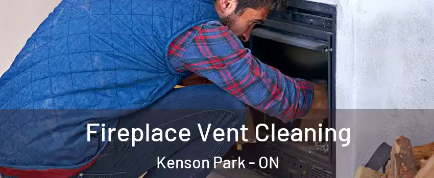  Fireplace Vent Cleaning Kenson Park - ON