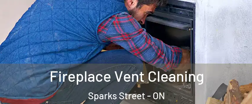  Fireplace Vent Cleaning Sparks Street - ON