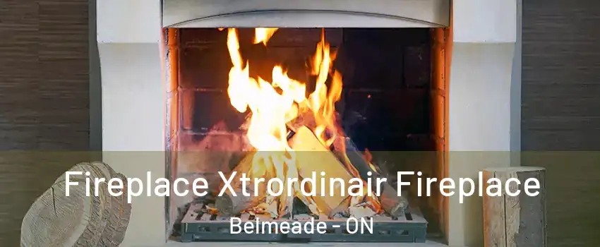  Fireplace Xtrordinair Fireplace Belmeade - ON