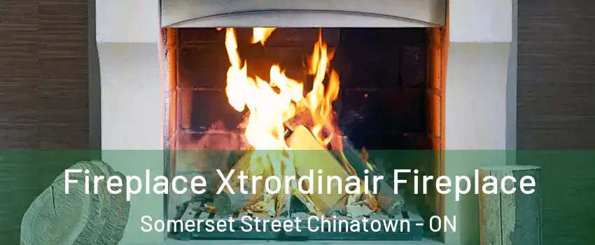  Fireplace Xtrordinair Fireplace Somerset Street Chinatown - ON