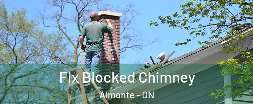  Fix Blocked Chimney Almonte - ON