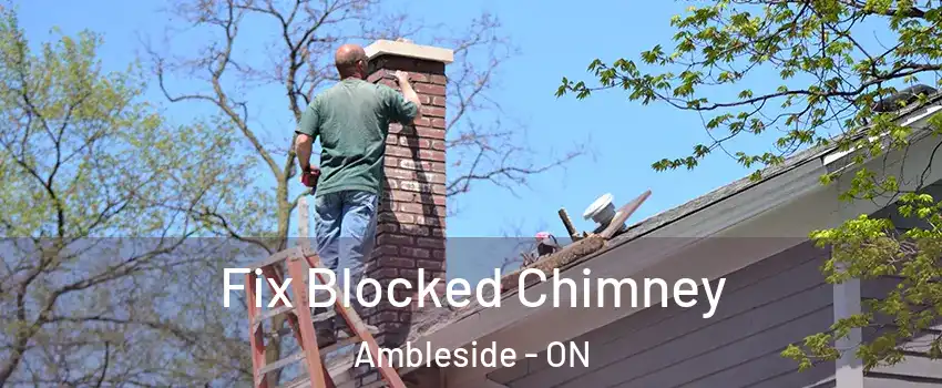  Fix Blocked Chimney Ambleside - ON