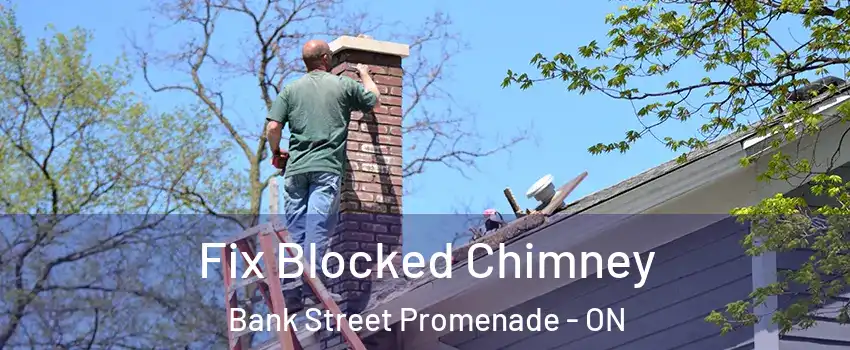  Fix Blocked Chimney Bank Street Promenade - ON