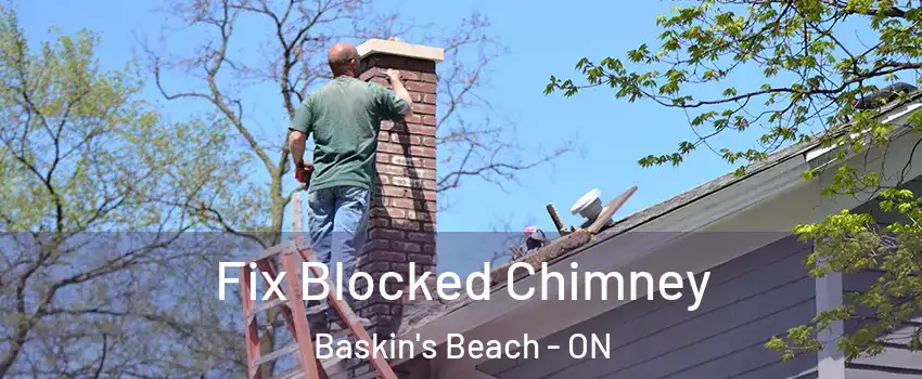  Fix Blocked Chimney Baskin's Beach - ON