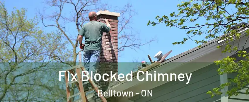  Fix Blocked Chimney Belltown - ON