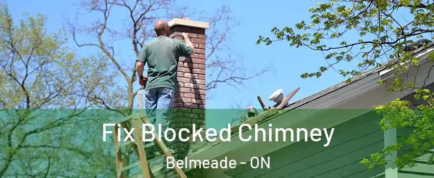  Fix Blocked Chimney Belmeade - ON