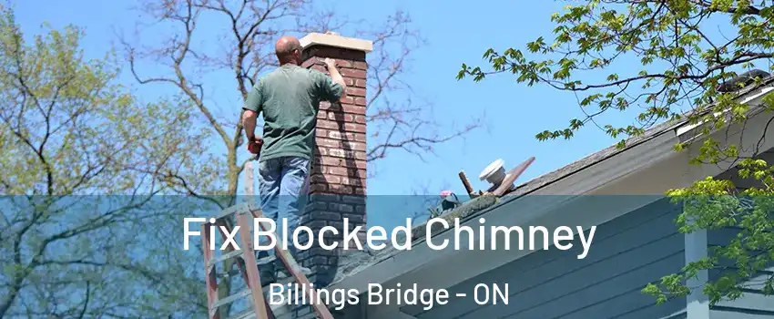  Fix Blocked Chimney Billings Bridge - ON