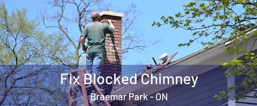  Fix Blocked Chimney Braemar Park - ON