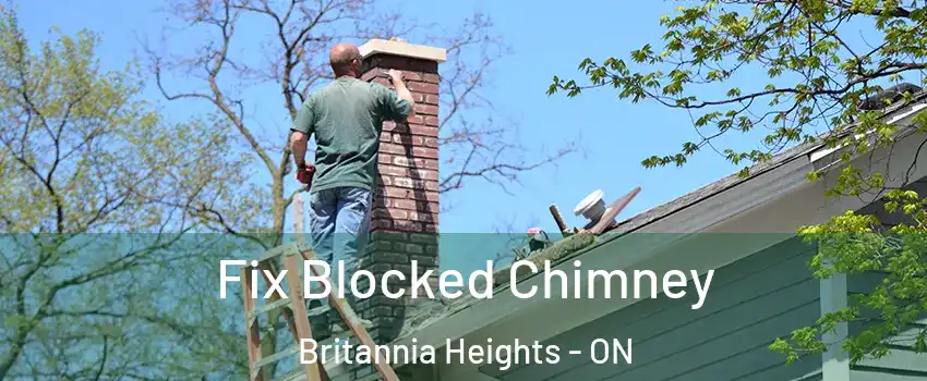  Fix Blocked Chimney Britannia Heights - ON