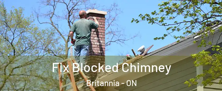  Fix Blocked Chimney Britannia - ON