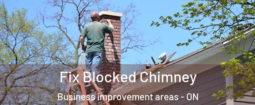  Fix Blocked Chimney Business improvement areas - ON