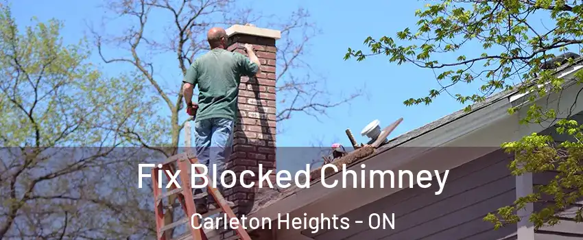  Fix Blocked Chimney Carleton Heights - ON