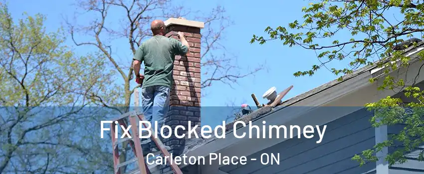  Fix Blocked Chimney Carleton Place - ON