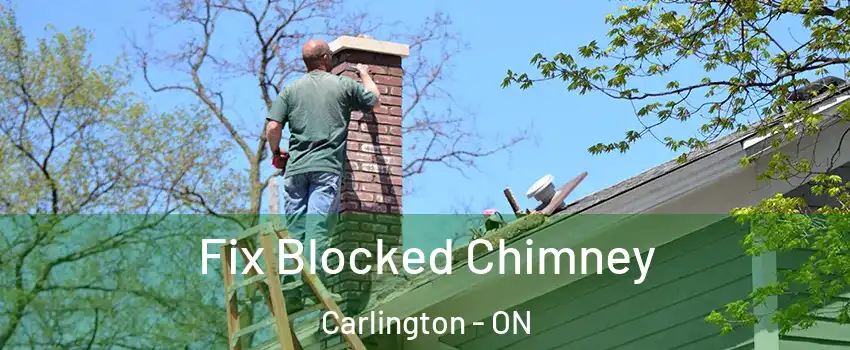  Fix Blocked Chimney Carlington - ON