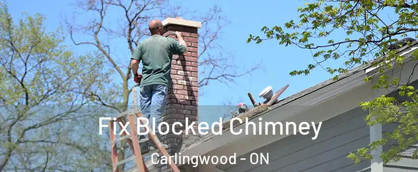  Fix Blocked Chimney Carlingwood - ON