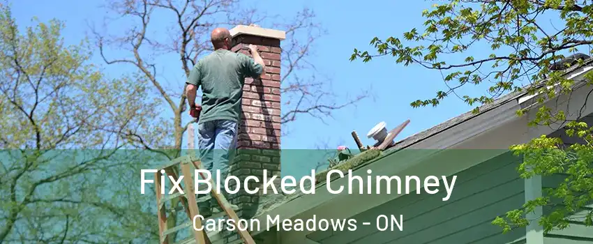  Fix Blocked Chimney Carson Meadows - ON