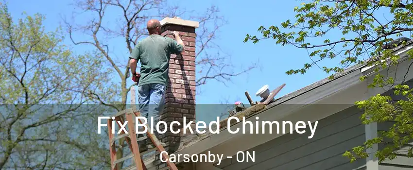  Fix Blocked Chimney Carsonby - ON