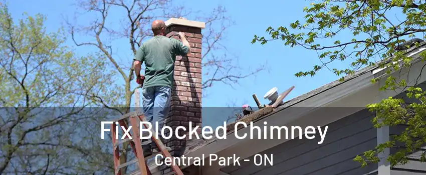  Fix Blocked Chimney Central Park - ON