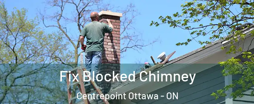  Fix Blocked Chimney Centrepoint Ottawa - ON