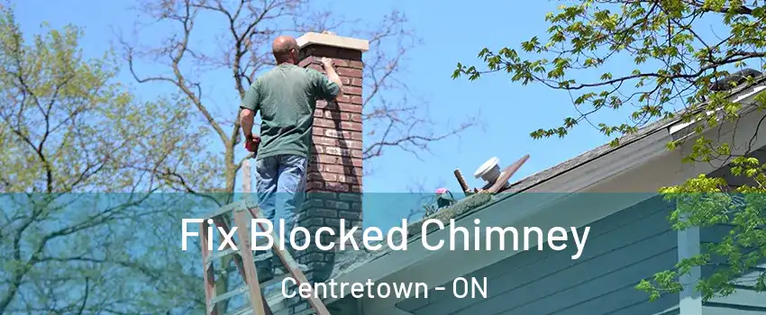  Fix Blocked Chimney Centretown - ON