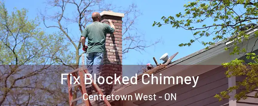  Fix Blocked Chimney Centretown West - ON