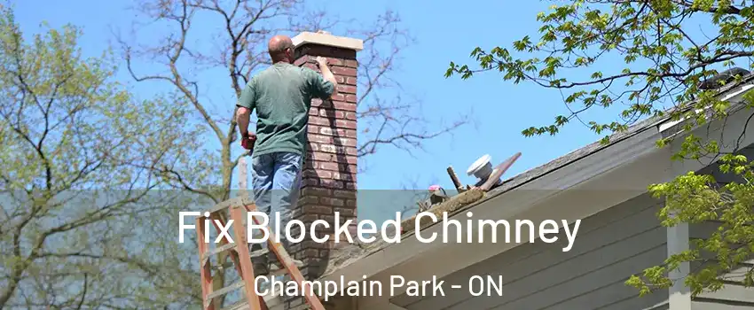  Fix Blocked Chimney Champlain Park - ON