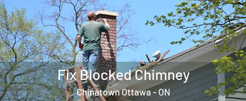  Fix Blocked Chimney Chinatown Ottawa - ON