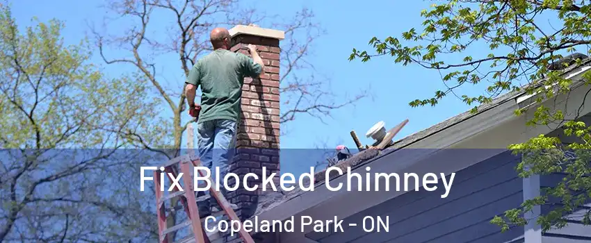  Fix Blocked Chimney Copeland Park - ON