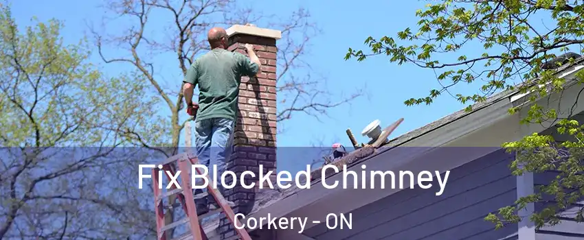  Fix Blocked Chimney Corkery - ON