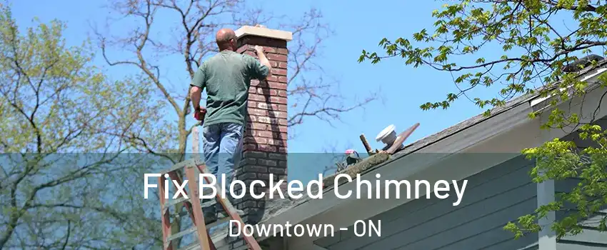  Fix Blocked Chimney Downtown - ON