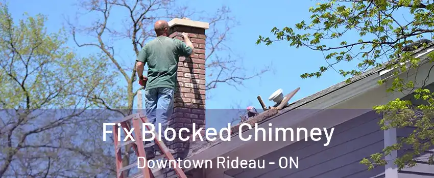  Fix Blocked Chimney Downtown Rideau - ON