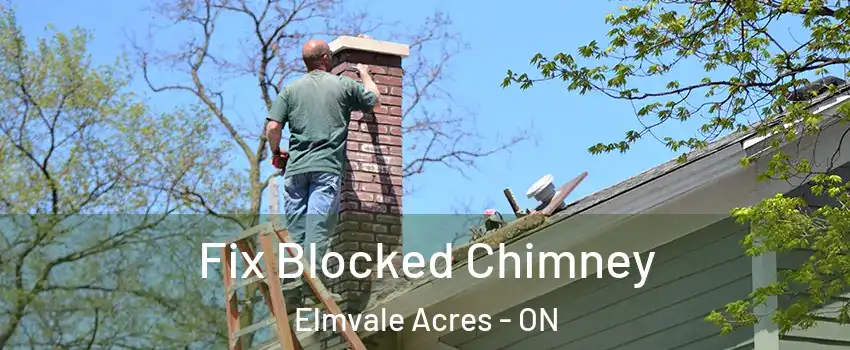  Fix Blocked Chimney Elmvale Acres - ON