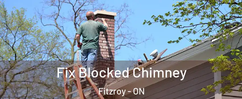  Fix Blocked Chimney Fitzroy - ON