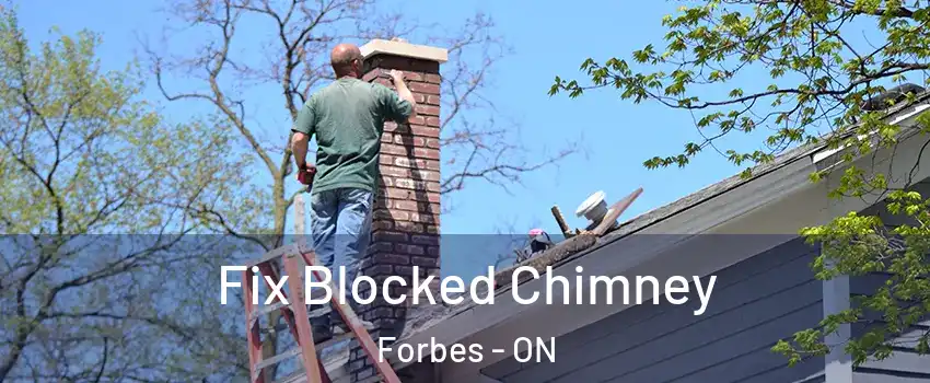  Fix Blocked Chimney Forbes - ON