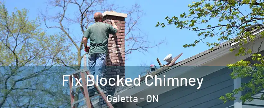  Fix Blocked Chimney Galetta - ON