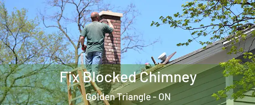  Fix Blocked Chimney Golden Triangle - ON